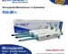 Micropipette Manufacturer in America – Leading Pipette Brand in USA